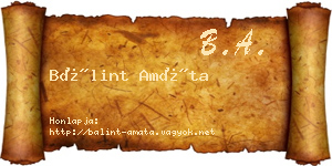 Bálint Amáta névjegykártya