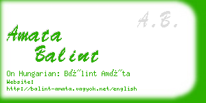 amata balint business card